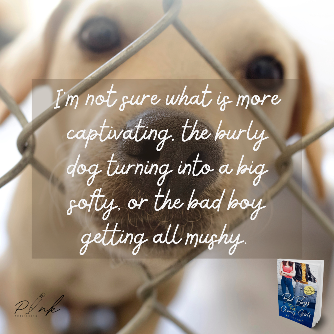 Oak Grove High series: YA romance book bundle